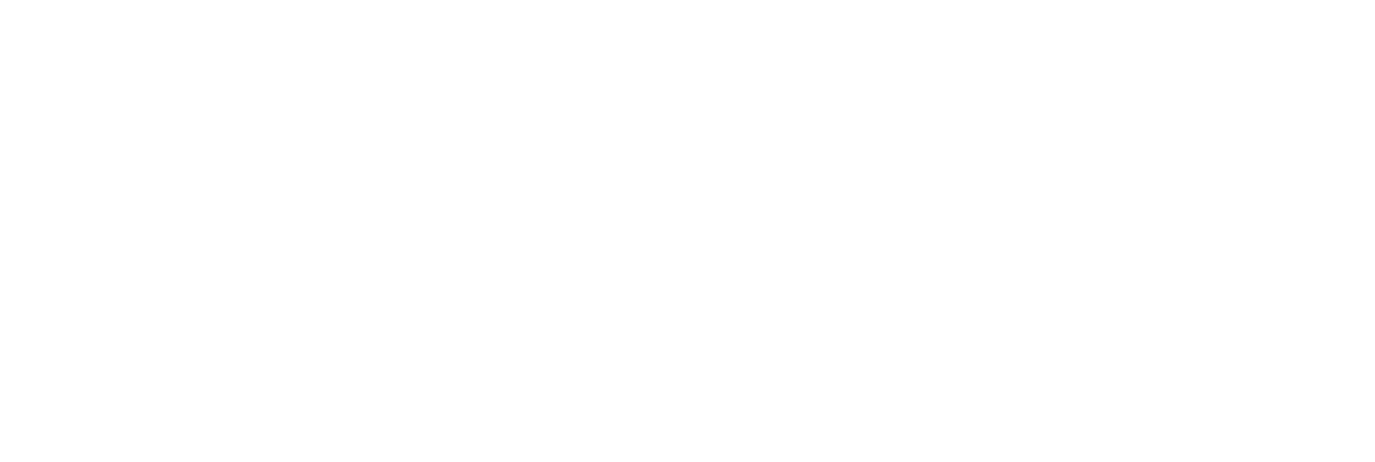 STM:n rahoittama